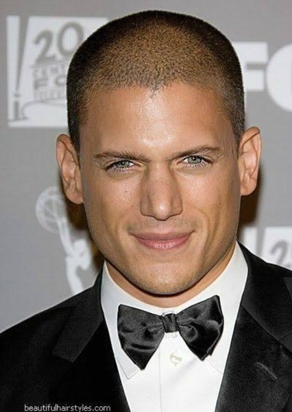 Wentworth Miller photo