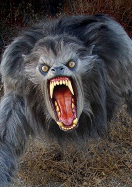Werewolf photo