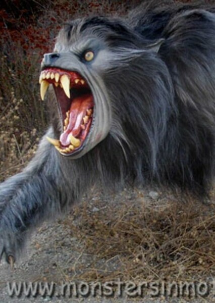 Werewolf photo