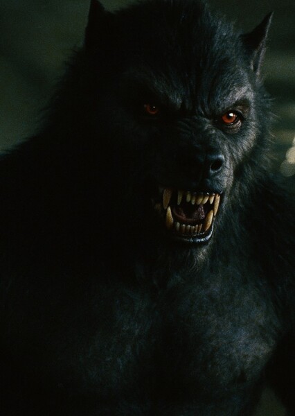 Werewolf Emmet photo