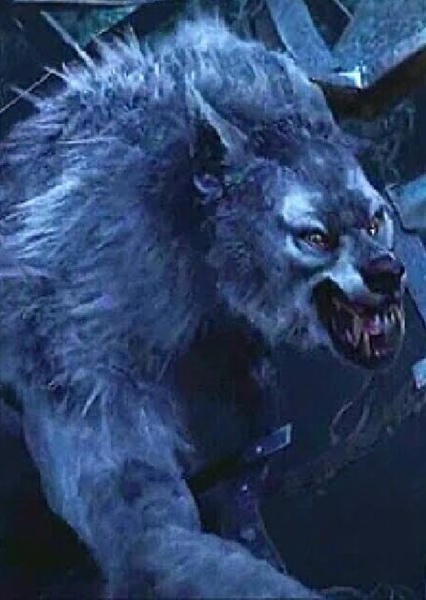 Werewolf (Van Helsing) photo