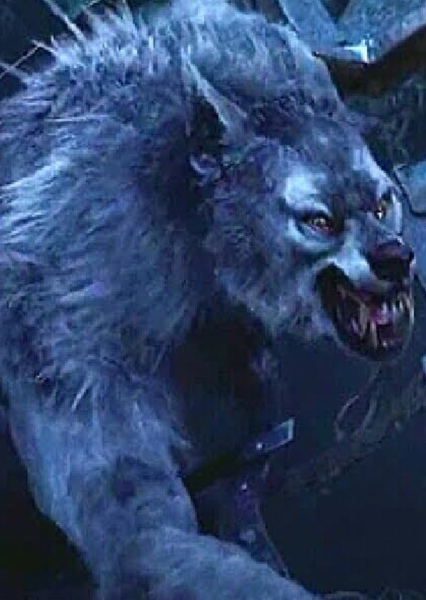 Werewolf (Van Helsing) photo