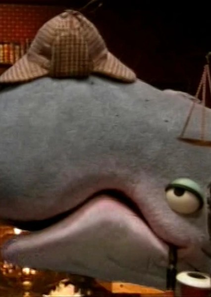 Whale photo