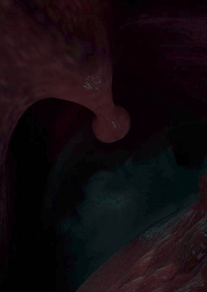 Whale (Finding Nemo) photo
