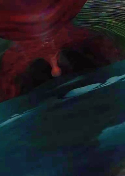 Whale (Finding Nemo) photo