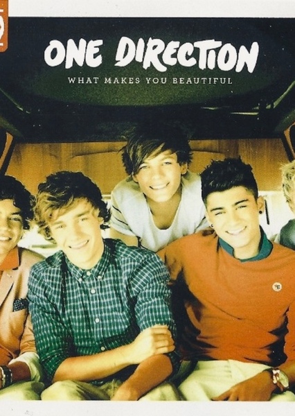 What Makes You Beautiful photo
