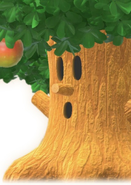 Whispy Woods photo