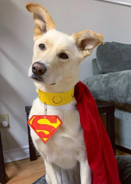 Krypto
