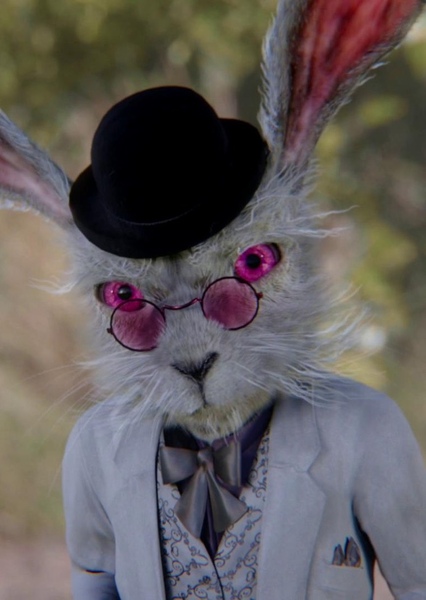 White Rabbit photo