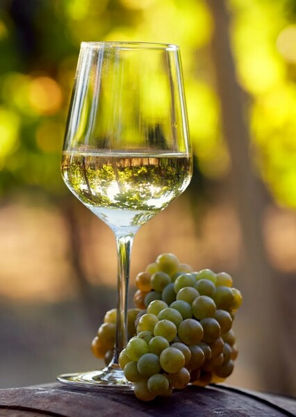 White Wine