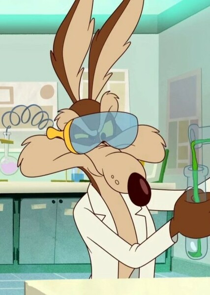 Wile E. Coyote photo