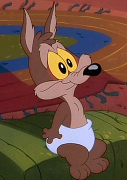 Wile E. Coyote photo