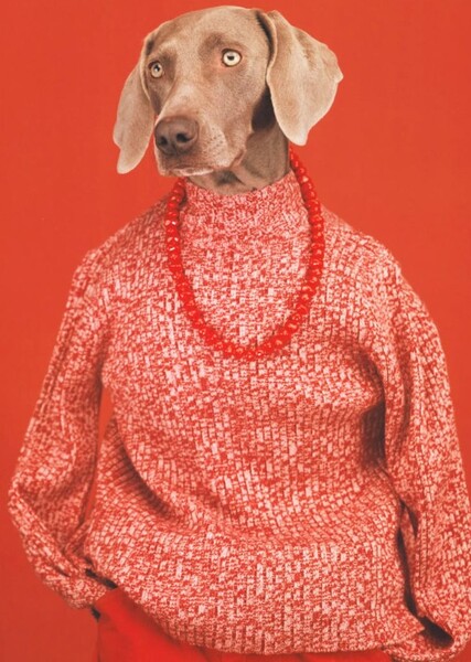 William Wegman's Dogs