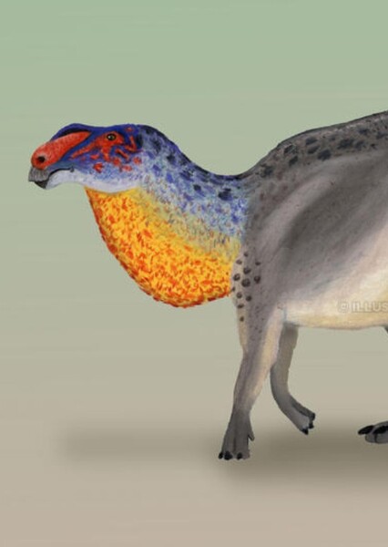 Willinakaqe Salitralensis