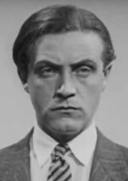 Willy Fritsch photo