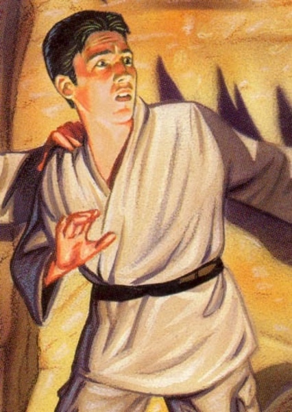 Windom Marstrap