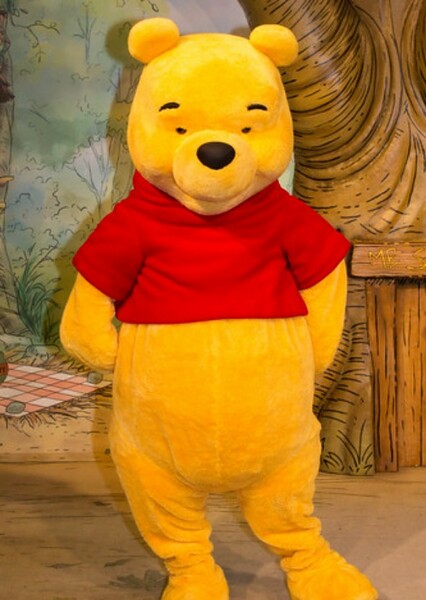 Winnie-the-Pooh (Disney Character)