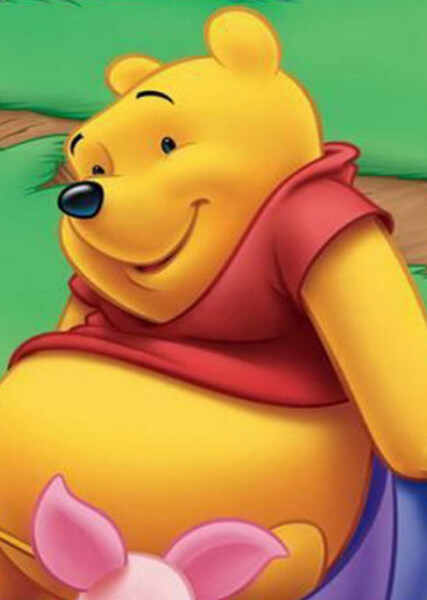 Winnie-the-Pooh (Disney Character) photo