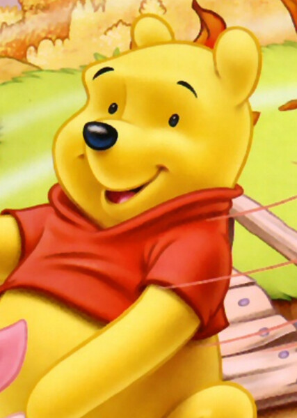 Winnie-the-Pooh (Disney Character) photo