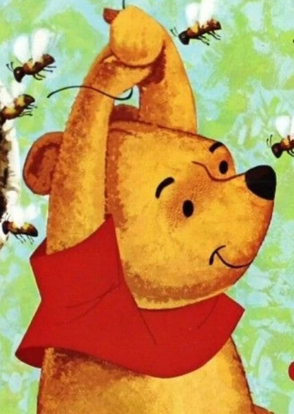 Winnie-the-Pooh (Disney Character) photo