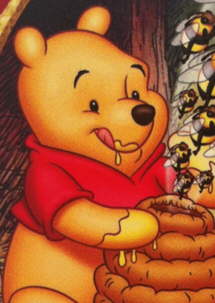 Winnie-the-Pooh (Disney Character) photo