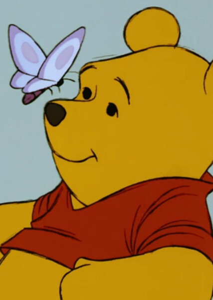 Winnie-the-Pooh (Disney Character) photo