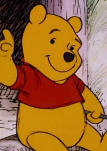 Winnie-the-Pooh (Disney Character) photo