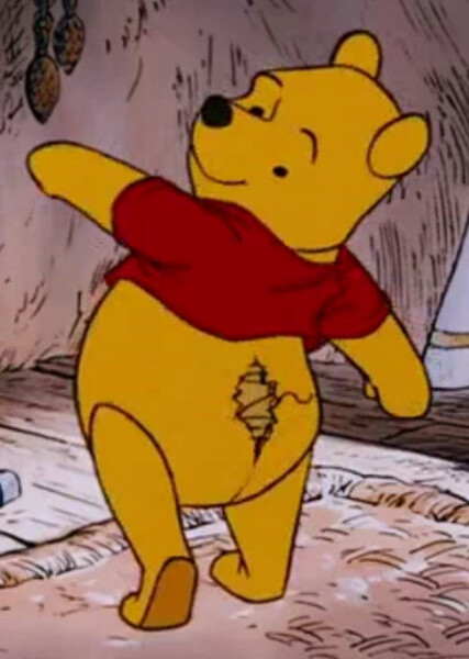 Winnie-the-Pooh (Disney Character) photo