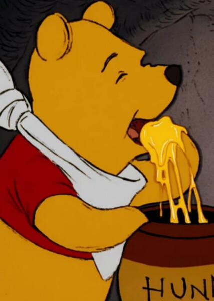 Winnie-the-Pooh (Disney Character) photo