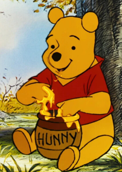 Winnie-the-Pooh (Disney Character)