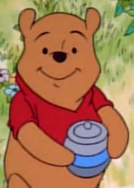 Winnie-the-Pooh (Disney Character) photo