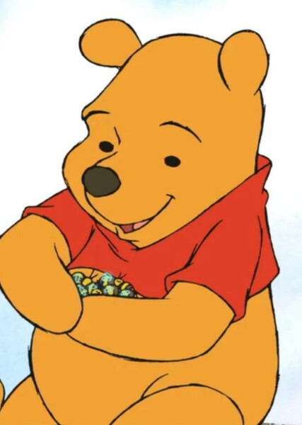 Winnie-the-Pooh (Disney Character) photo