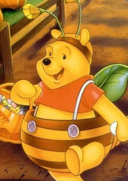 Winnie-the-Pooh (Disney Character) photo