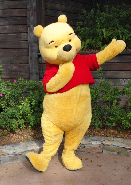 Winnie-the-Pooh (Disney Character)