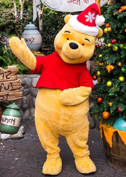 Winnie-the-Pooh (Disney Character) photo