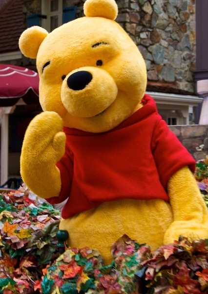 Winnie-the-Pooh (Disney Character) photo