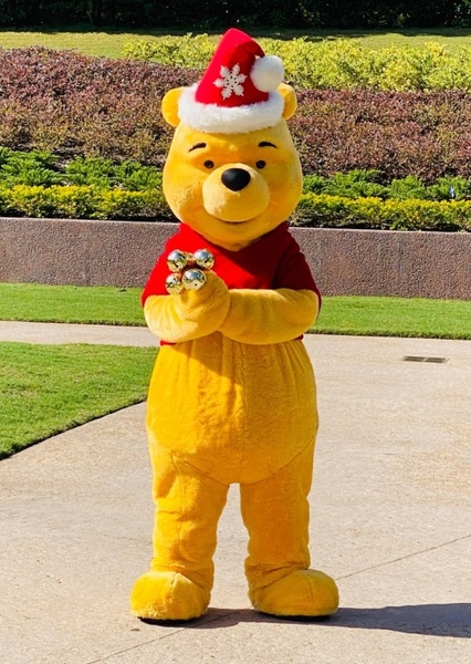 Winnie-the-Pooh (Disney Character) photo