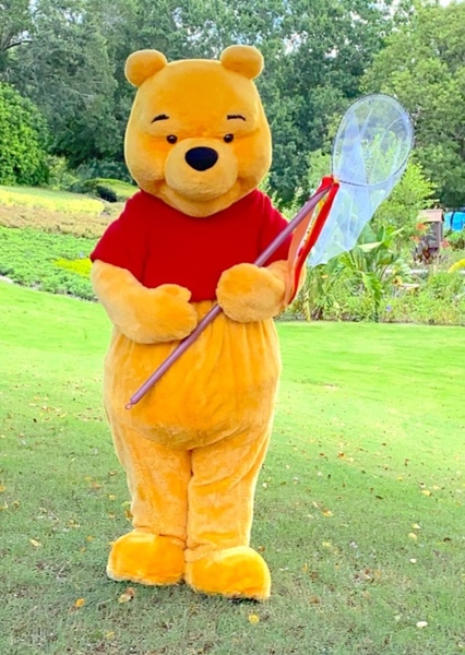 Winnie-the-Pooh (Disney Character) photo