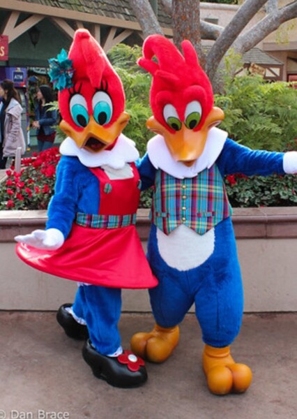 Winnie Woodpecker