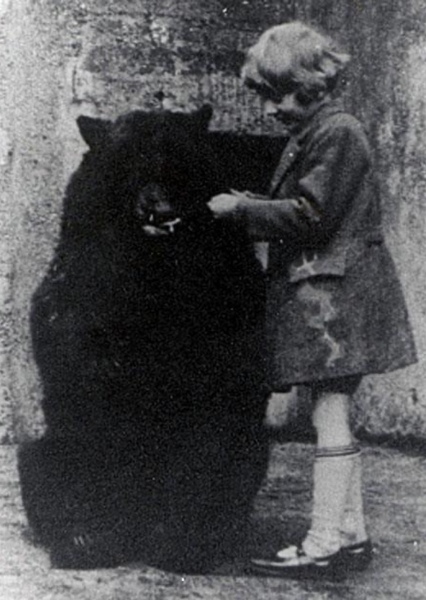 Winnipeg the Bear photo