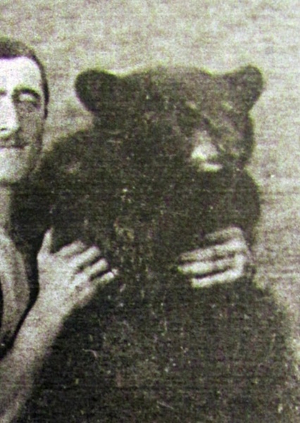 Winnipeg the Bear photo