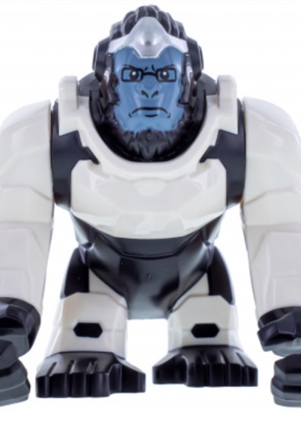 Winston photo