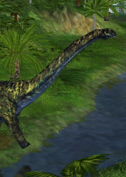 Wintonotitan