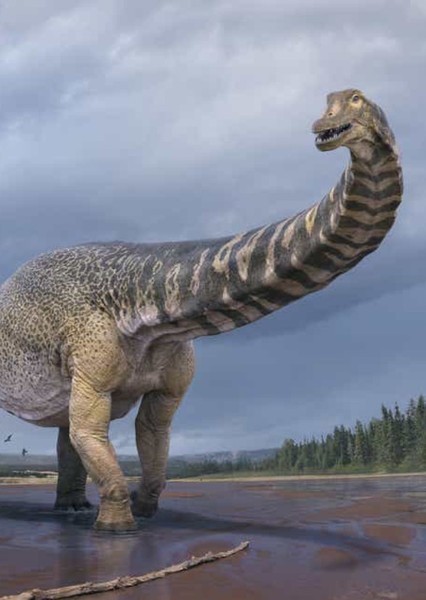 Wintonotitan photo