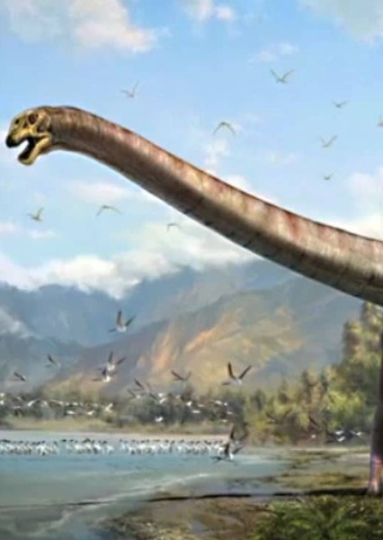Wintonotitan photo
