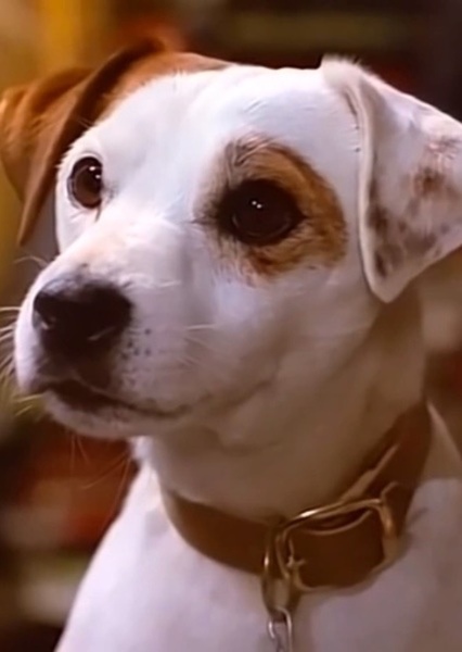 Wishbone (Character)