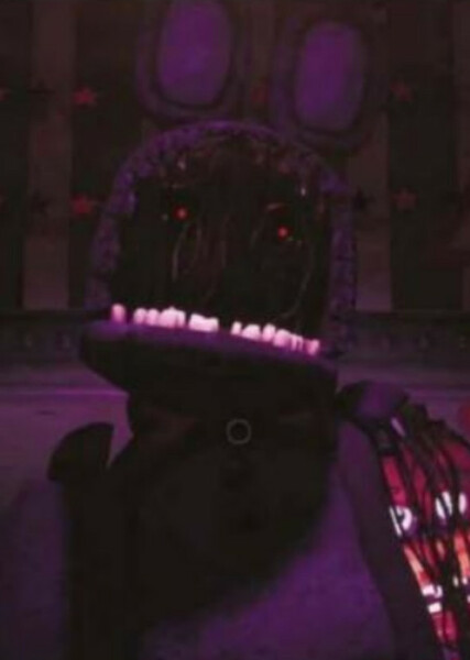Withered Bonnie photo