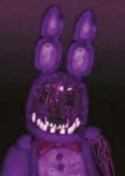 Withered Bonnie photo