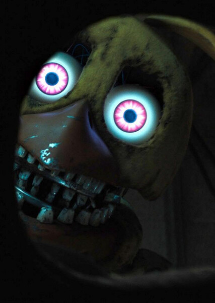 Withered Chica photo