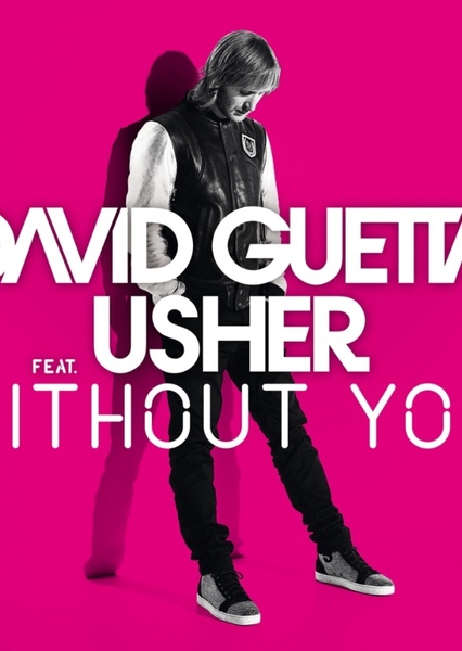 Without You (David Guetta song) photo